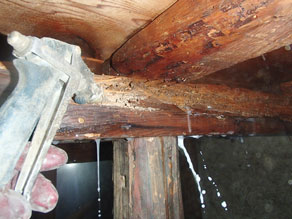 三重郡菰野町 白蟻 被害が床上にも シロアリ防除施工