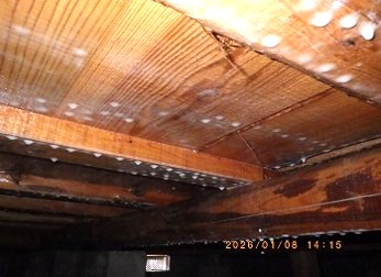 【いなべ市】湿気対策工事（防腐剤散布）