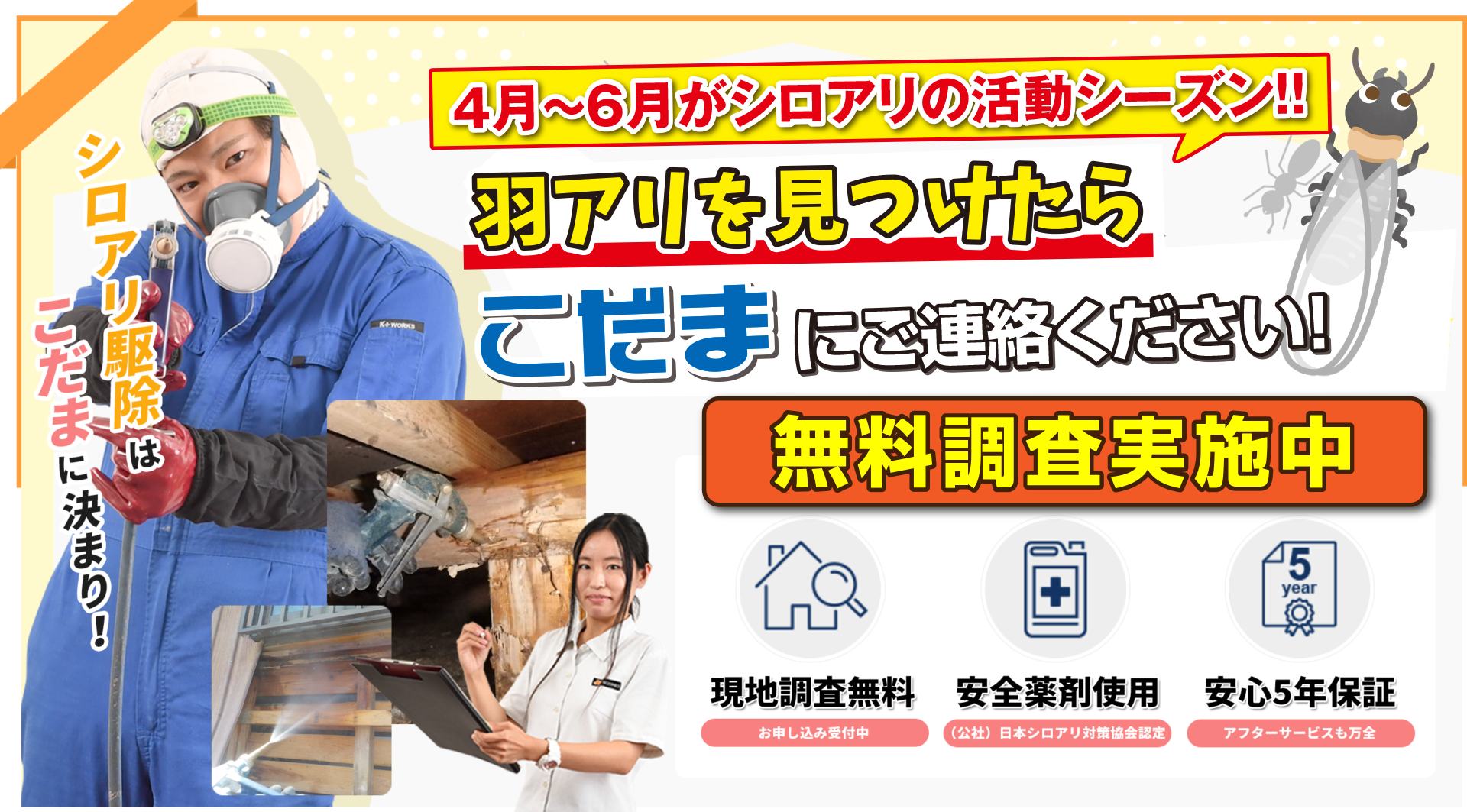 シロアリ駆除はこだまに任せて安心!!